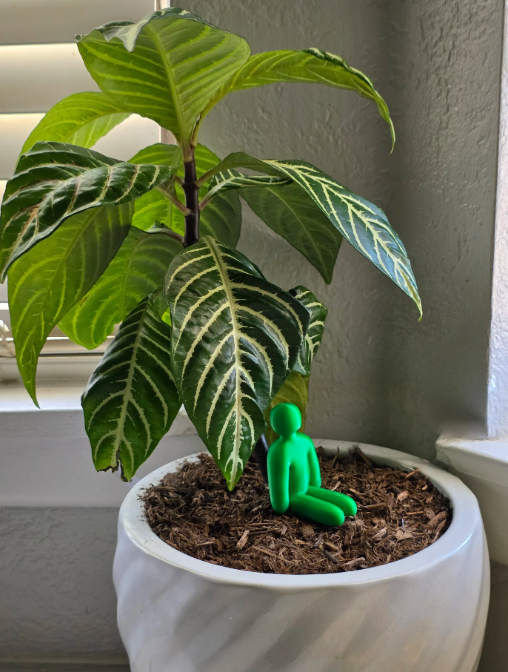 Meccha Chameleon