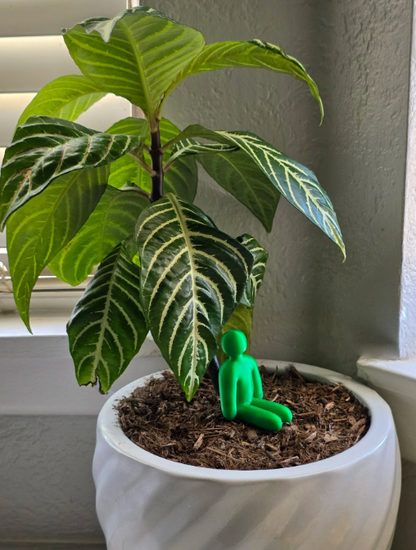 Meccha Chameleon