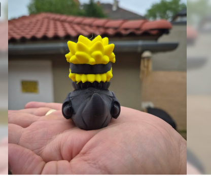 Duck-Naruto