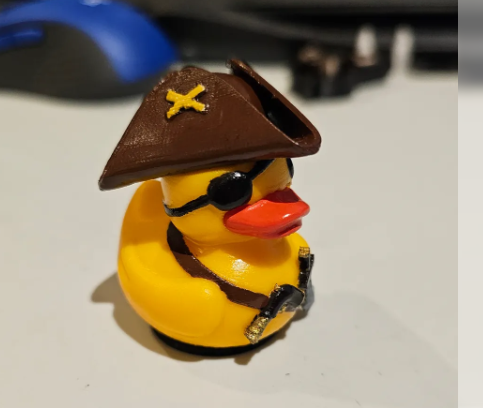 Duck-Pirate
