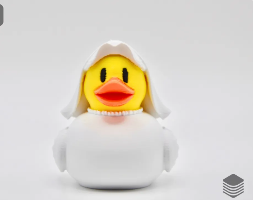 Duck-Bride
