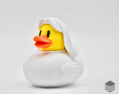 Duck-Bride