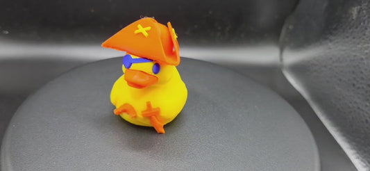 Duck-Pirate