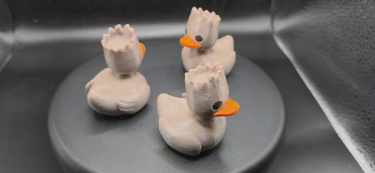 Duck-Groot